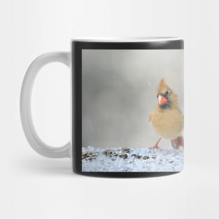 Curious Cardinal Mug